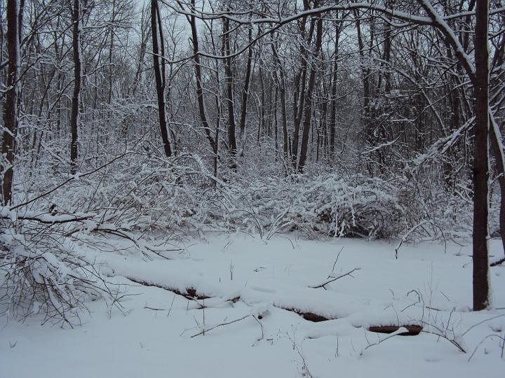 2010 005.jpg